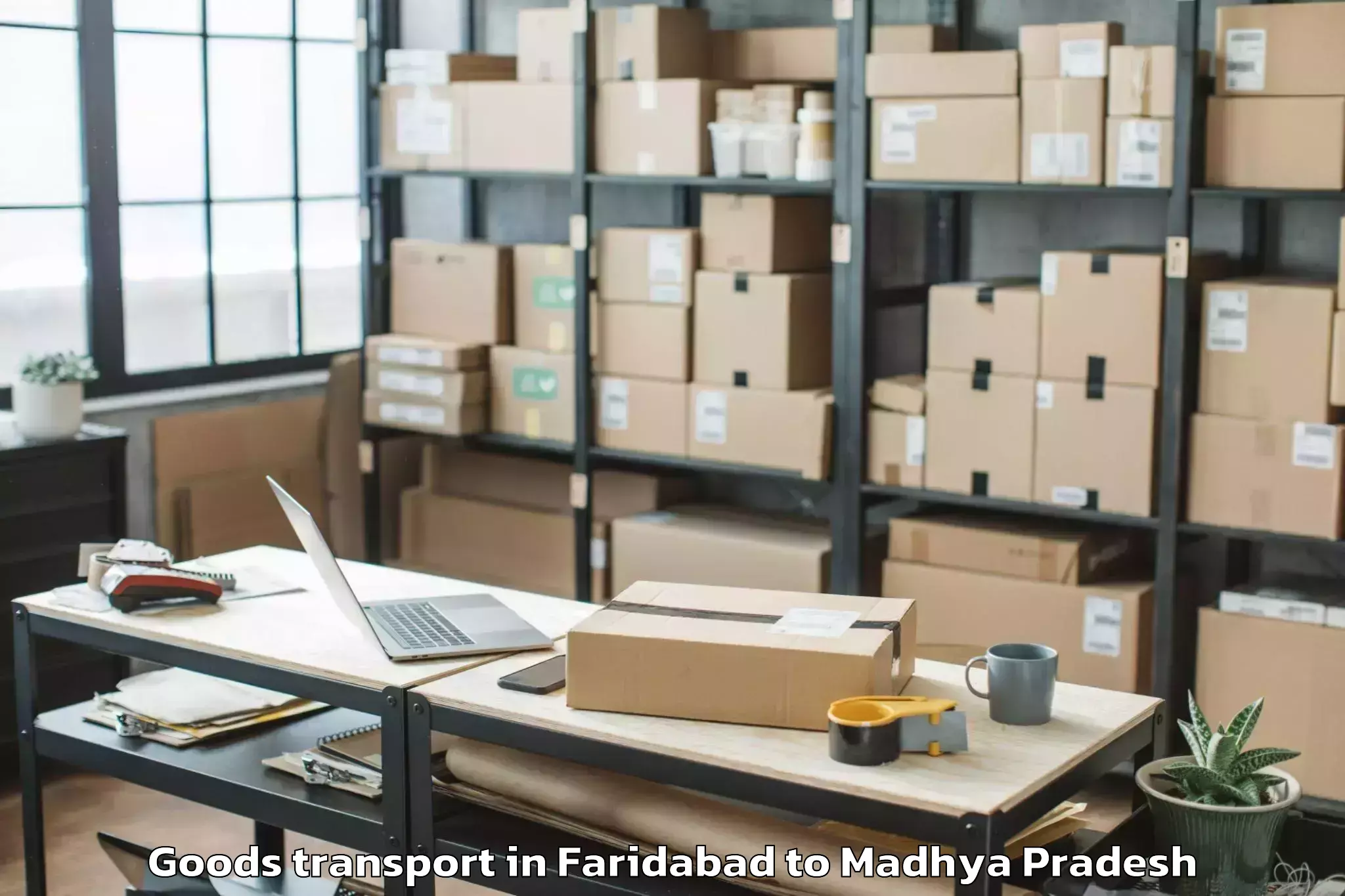 Book Your Faridabad to Harpalpur Goods Transport Today